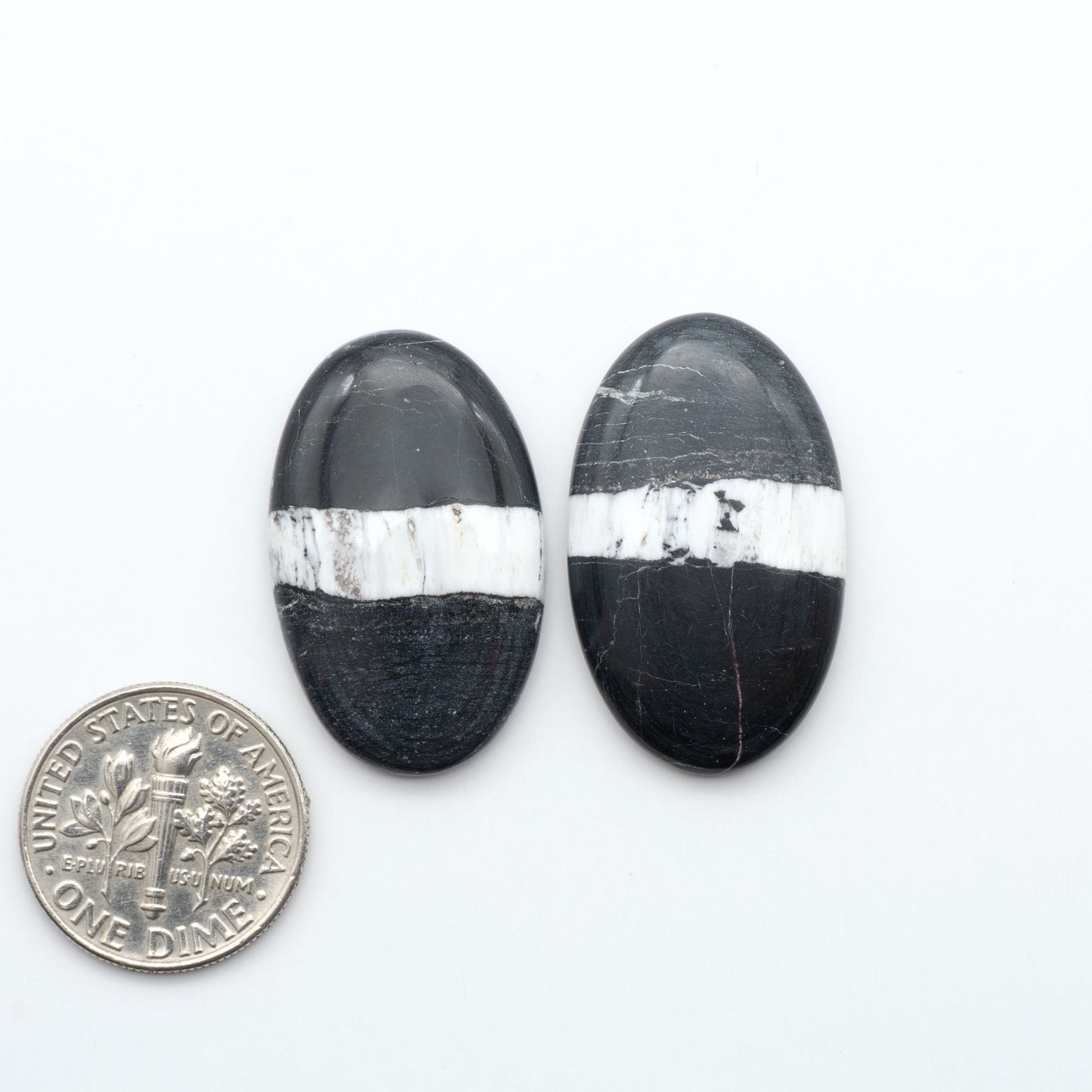 White Buffalo stone cabochons, white stone with black matrix, polished stones on a white background, with a US dime for scale