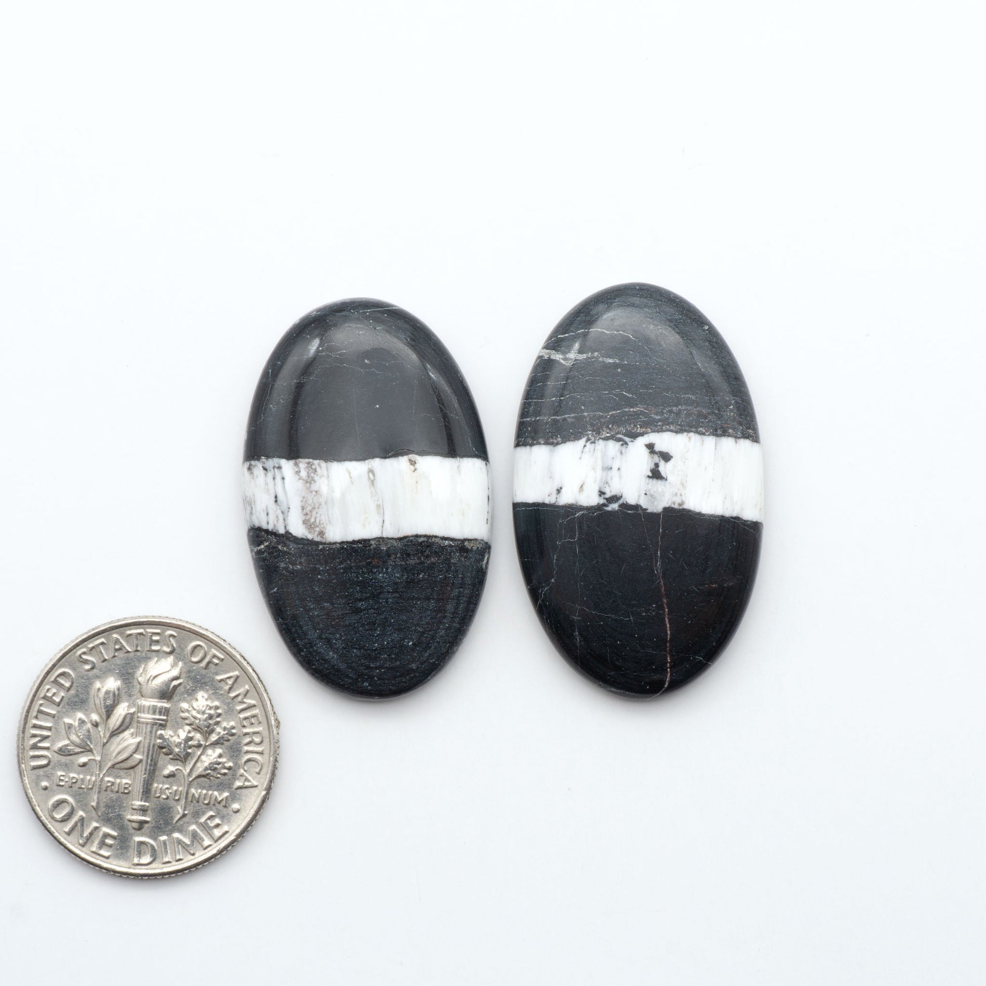 White Buffalo stone cabochons, white stone with black matrix, polished stones on a white background, with a US dime for scale