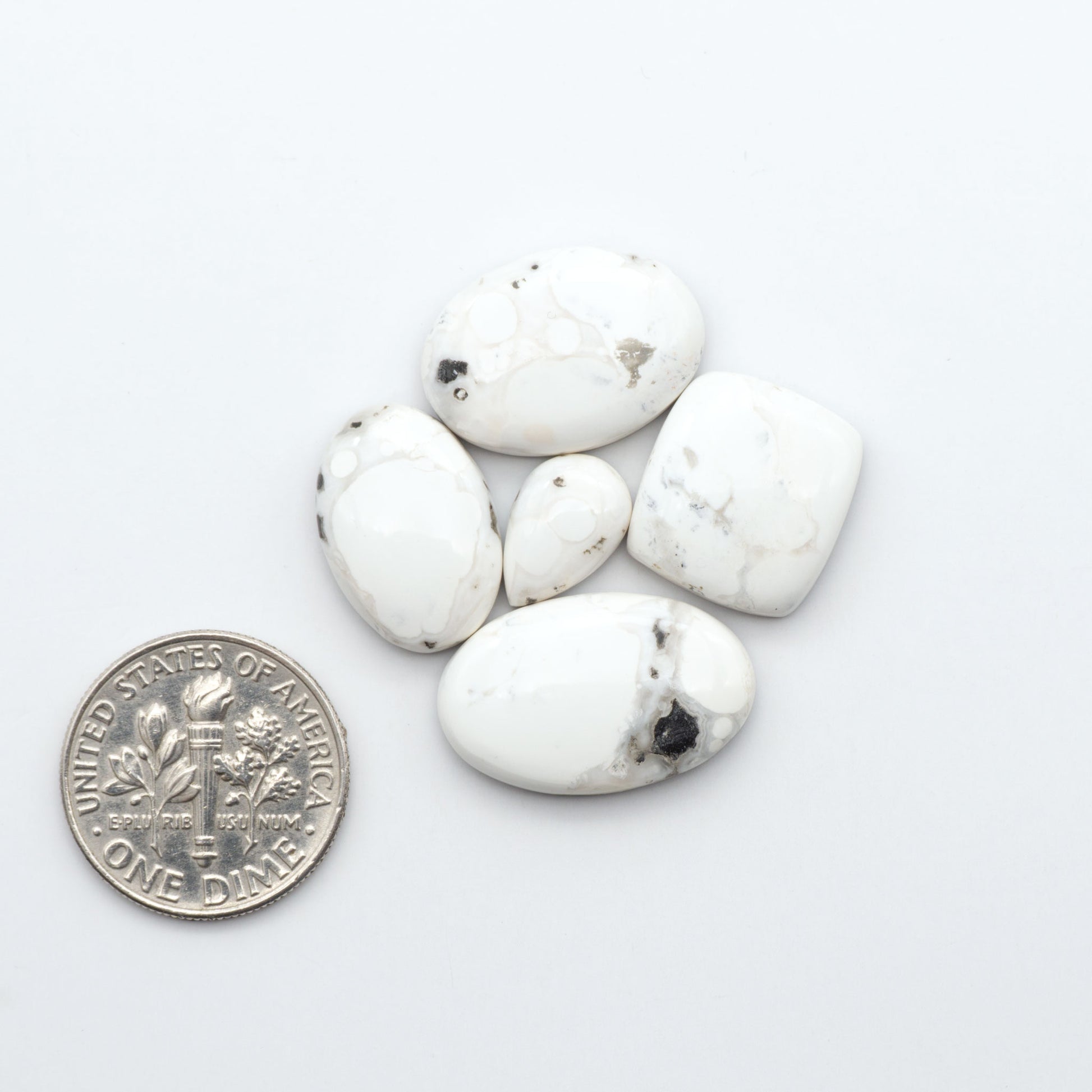 White Buffalo stone cabochons, white stone with black matrix, polished stones on a white background, with a US dime for scale