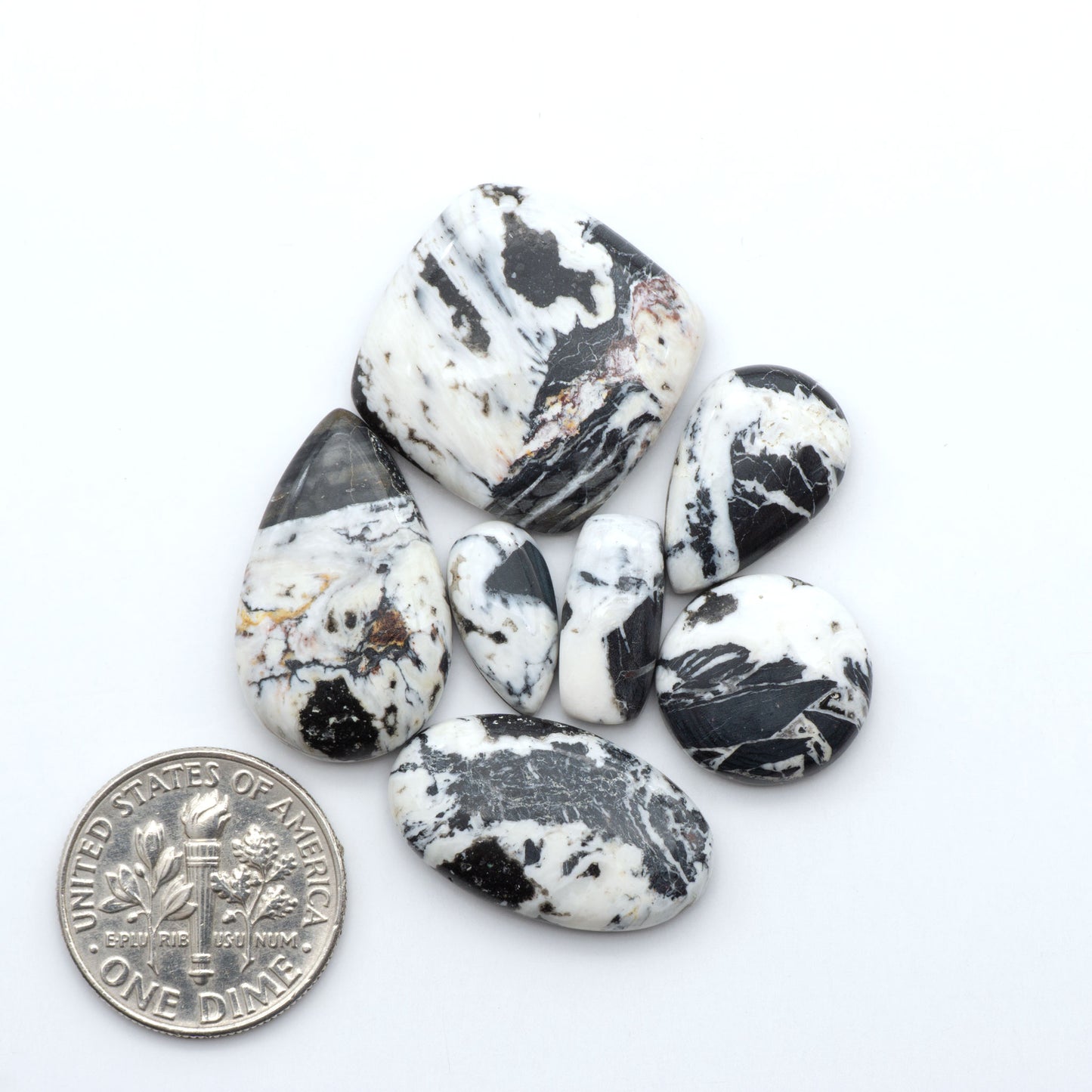 White Buffalo stone cabochons, white stone with black matrix, polished stones on a white background, with a US dime for scale