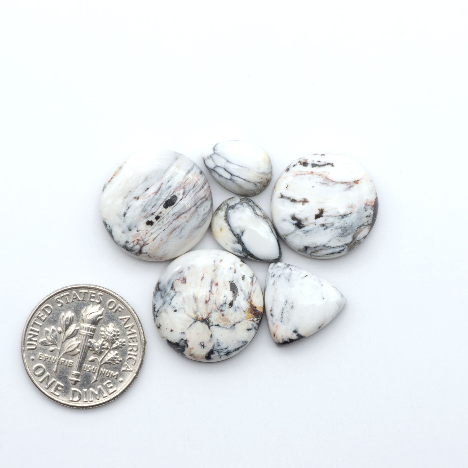 White Buffalo stone cabochons, white stone with black matrix, polished stones on a white background, with a US dime for scale