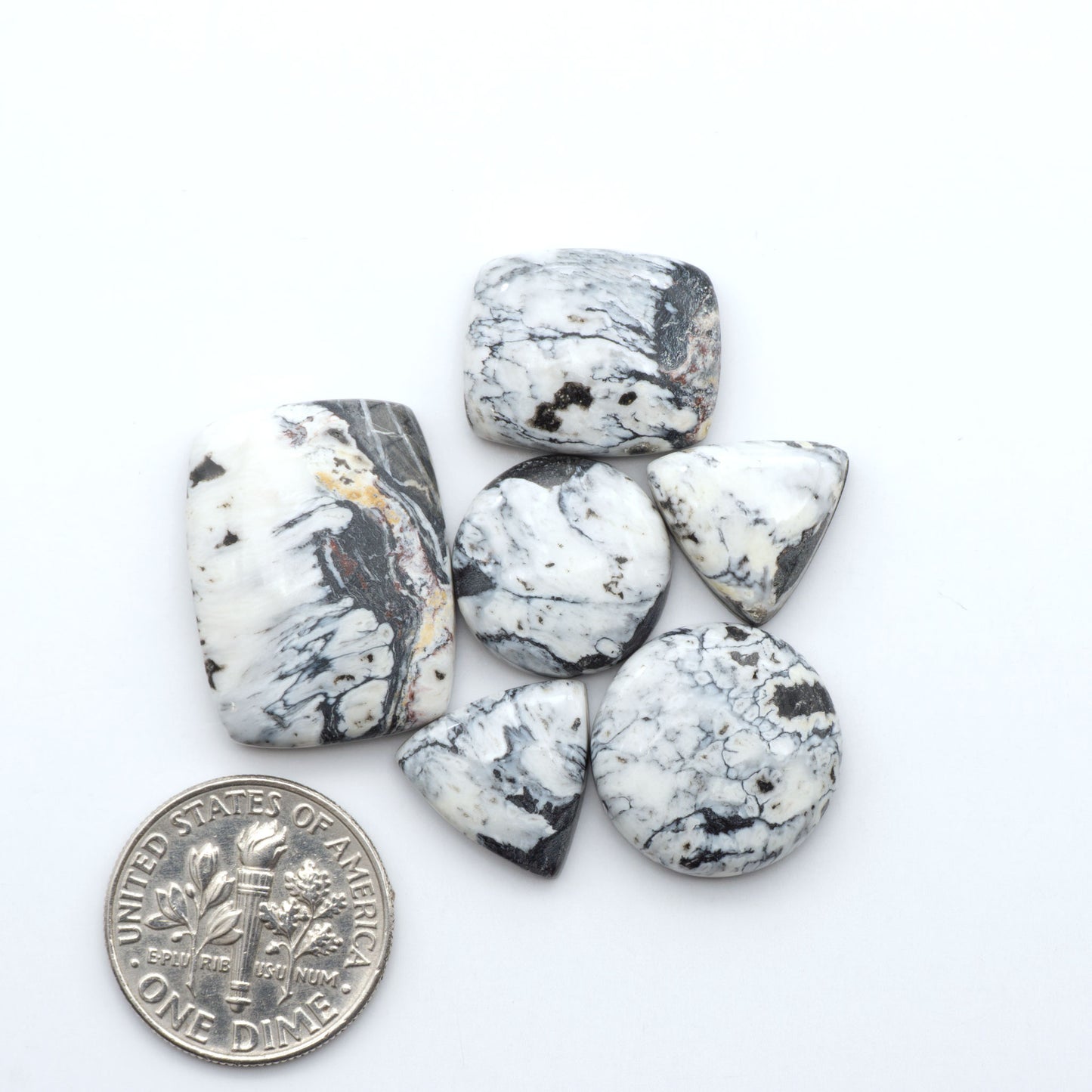 White Buffalo stone cabochons, white stone with black matrix, polished stones on a white background, with a US dime for scale