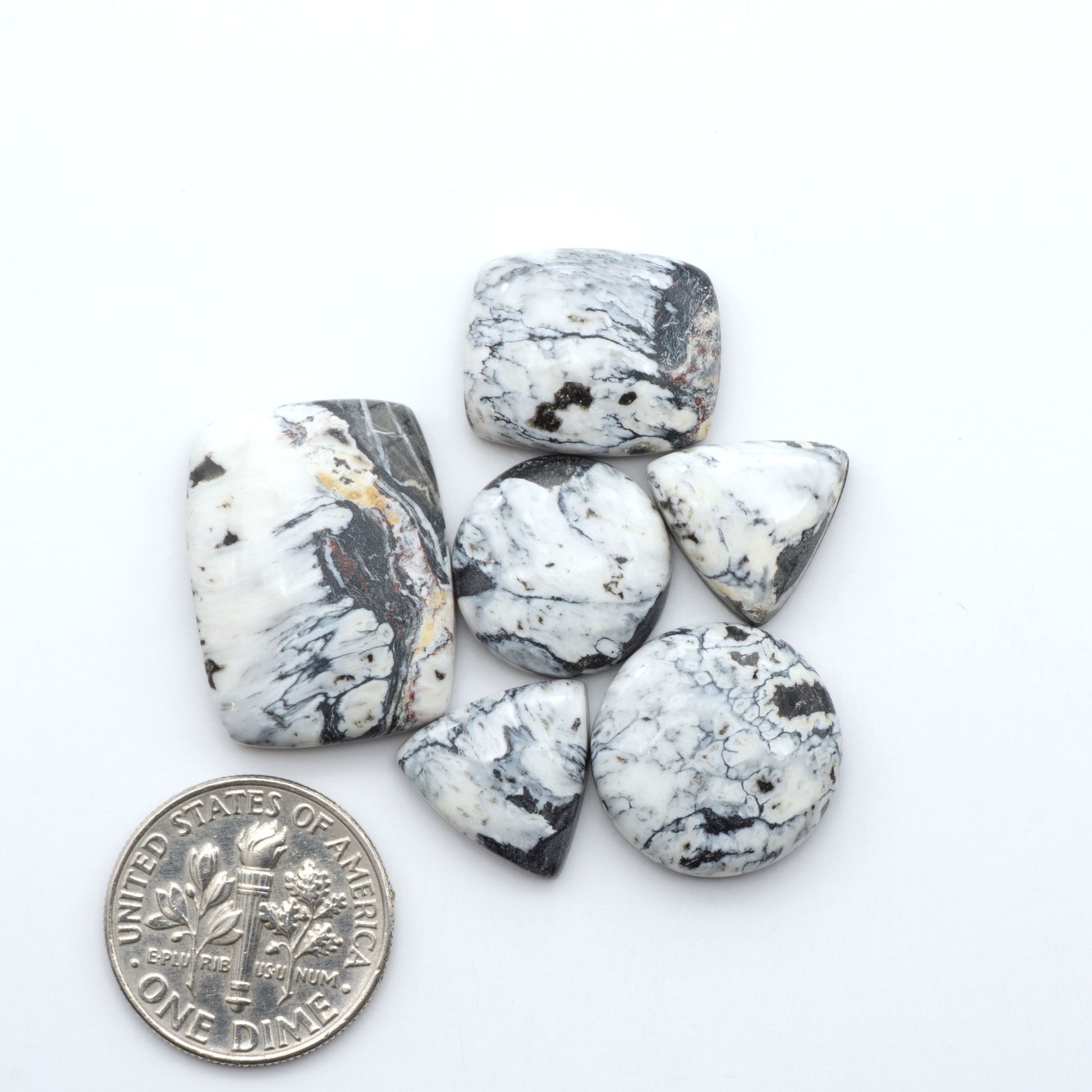White Buffalo stone cabochons, white stone with black matrix, polished stones on a white background, with a US dime for scale