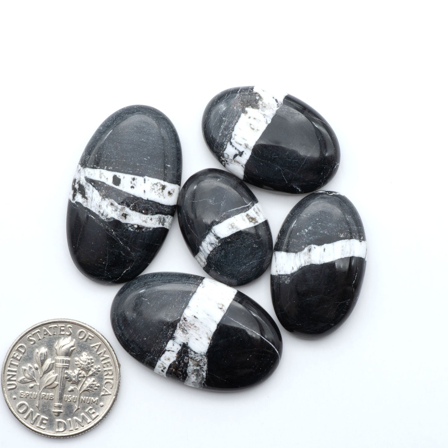 White Buffalo stone cabochons, white stone with black matrix, polished stones on a white background, with a US dime for scale