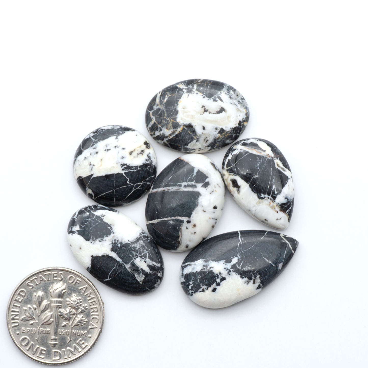 White Buffalo stone cabochons, white stone with black matrix, polished stones on a white background, with a US dime for scale