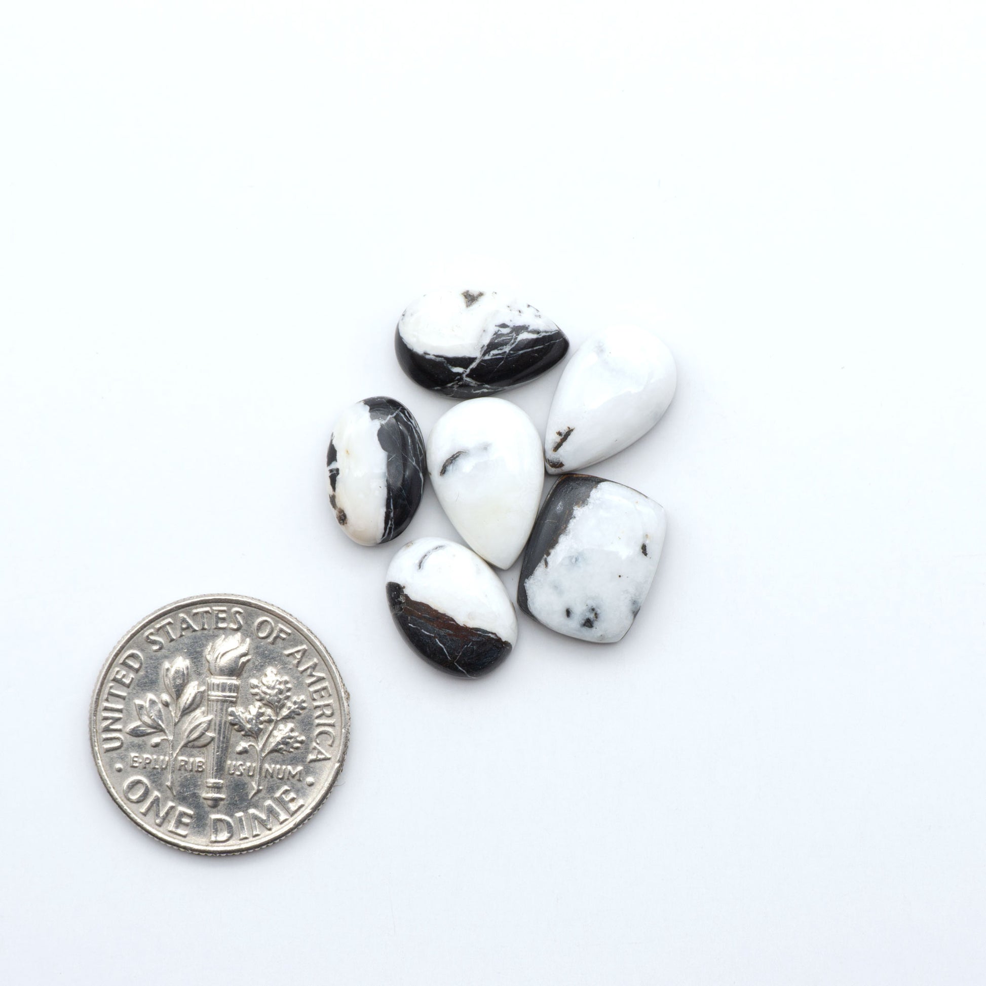 White Buffalo stone cabochons, white stone with black matrix, polished stones on a white background, with a US dime for scale