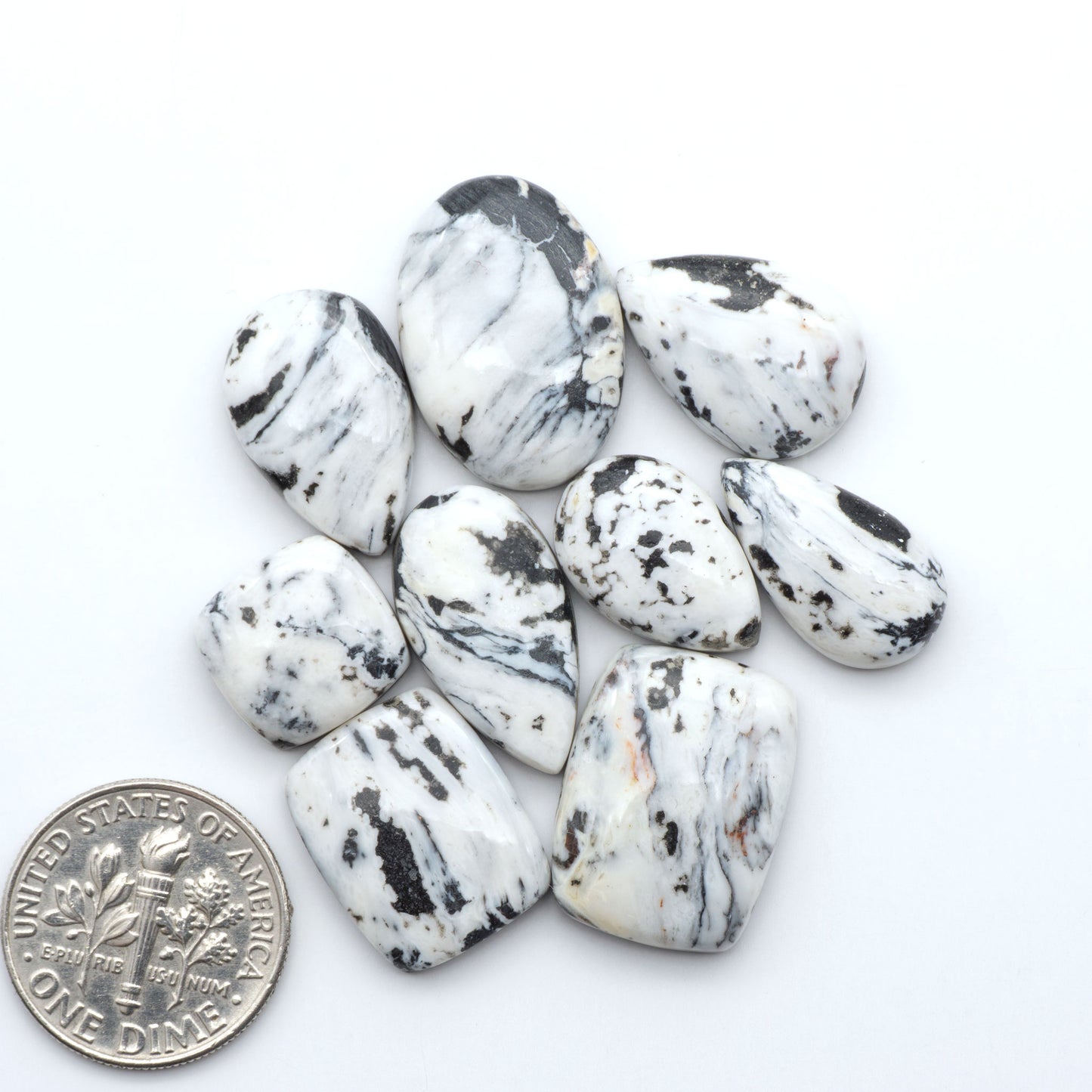 White Buffalo stone cabochons, white stone with black matrix, polished stones on a white background, with a US dime for scale