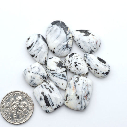 White Buffalo stone cabochons, white stone with black matrix, polished stones on a white background, with a US dime for scale