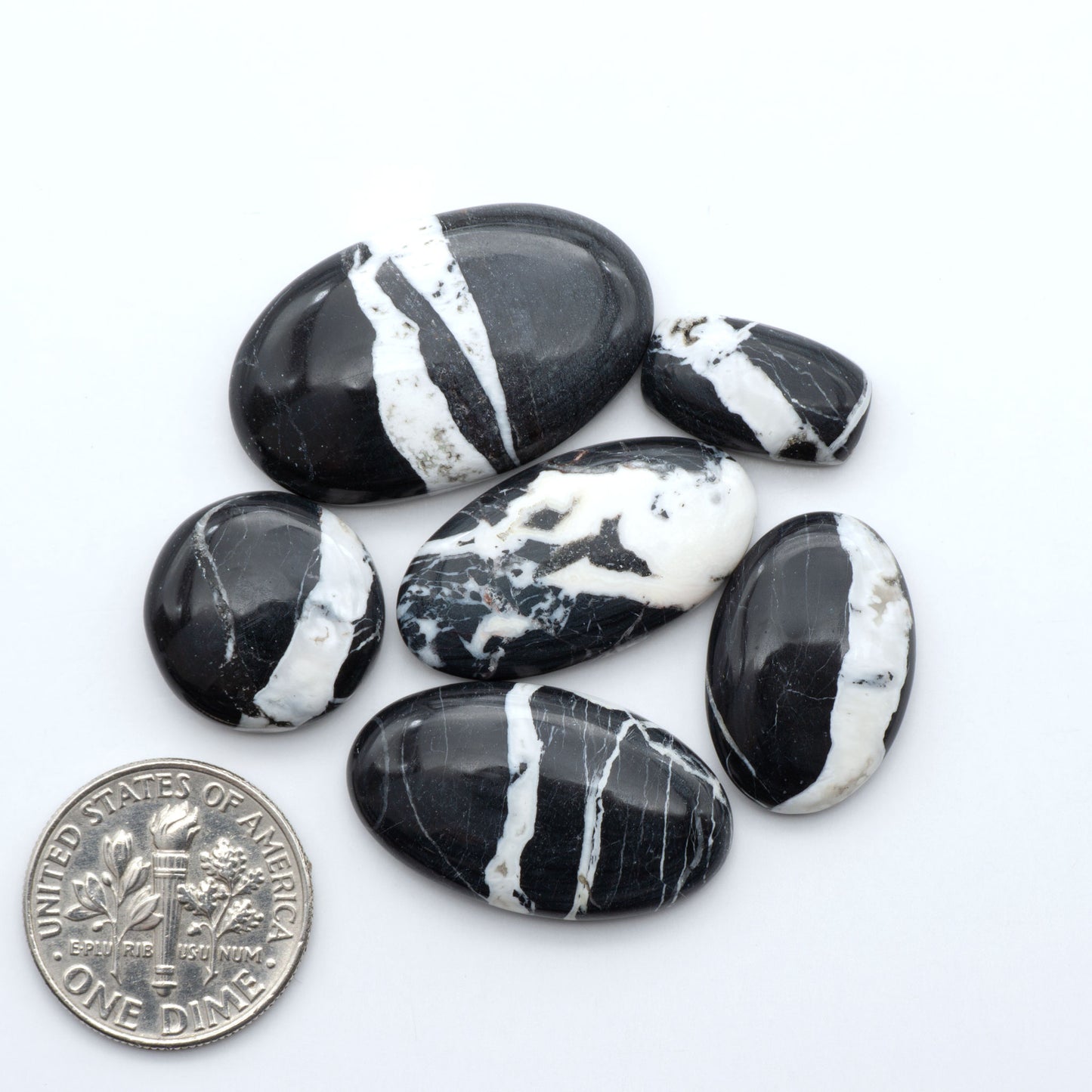 White Buffalo stone cabochons, white stone with black matrix, polished stones on a white background, with a US dime for scale