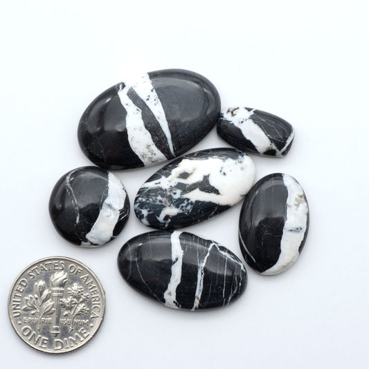 White Buffalo stone cabochons, white stone with black matrix, polished stones on a white background, with a US dime for scale