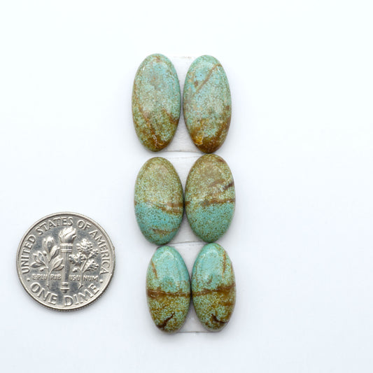 Number 8 Turquoise cabochons, blue and green color with brown matrix, polished stones on a white background, with a US dime for scale