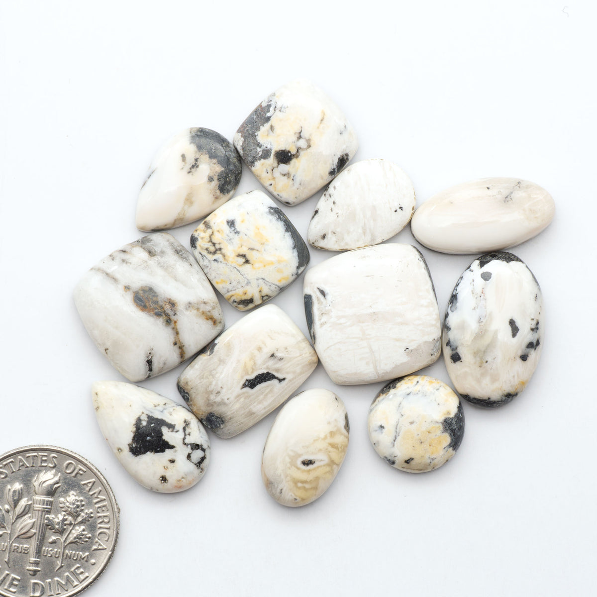 White Buffalo stone cabochons, white stone with black matrix, polished stones on a white background, with a US dime for scale