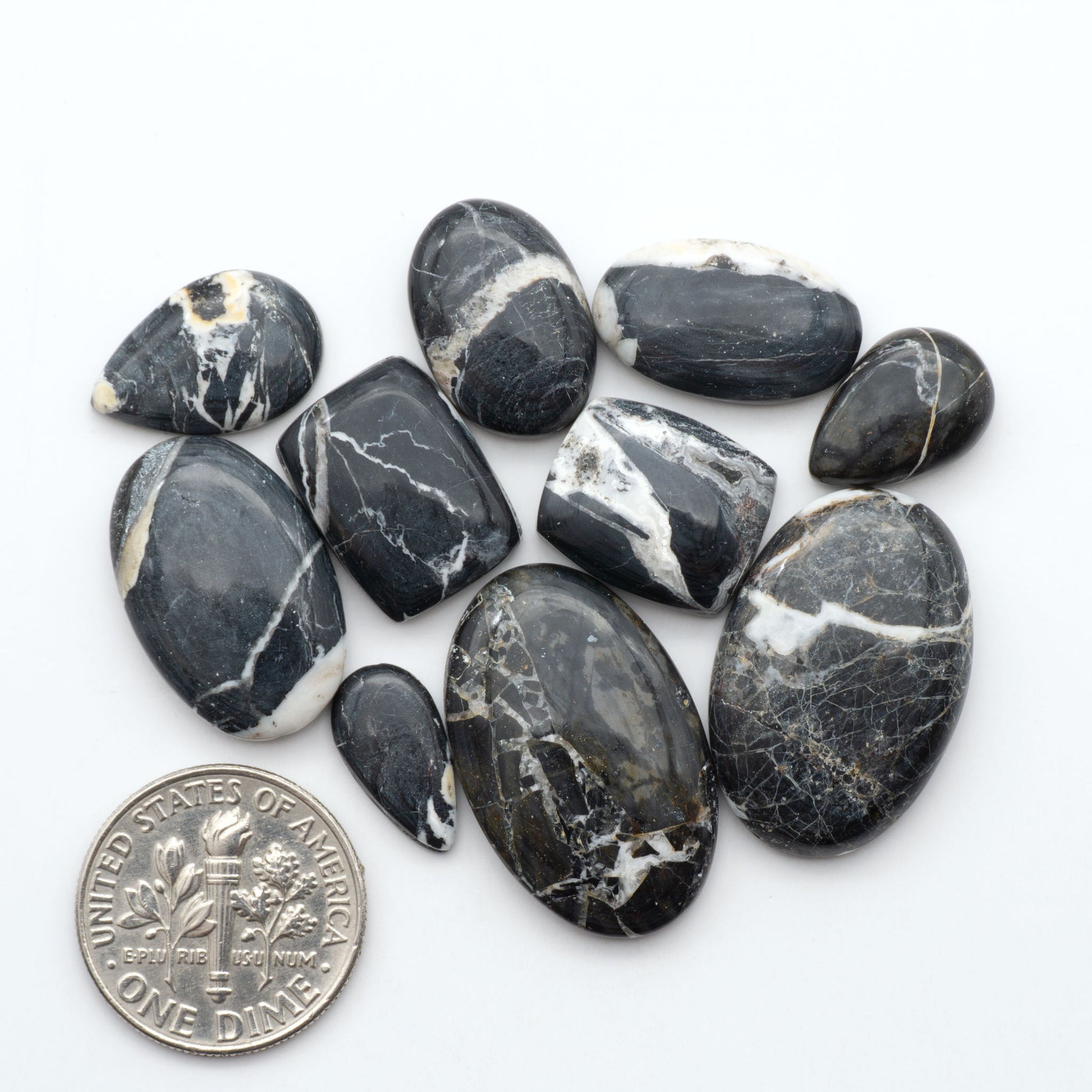White Buffalo stone cabochons, white stone with black matrix, polished stones on a white background, with a US dime for scale