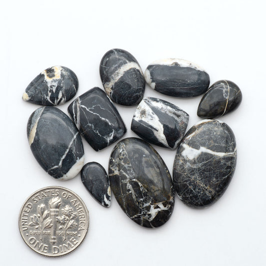 White Buffalo stone cabochons, white stone with black matrix, polished stones on a white background, with a US dime for scale