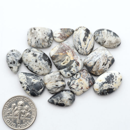 White Buffalo stone cabochons, white stone with black matrix, polished stones on a white background, with a US dime for scale
