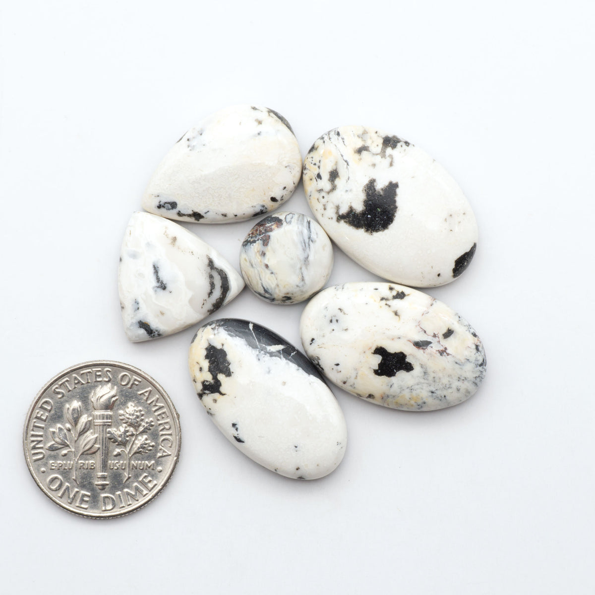 White Buffalo stone cabochons, white stone with black matrix, polished stones on a white background, with a US dime for scale