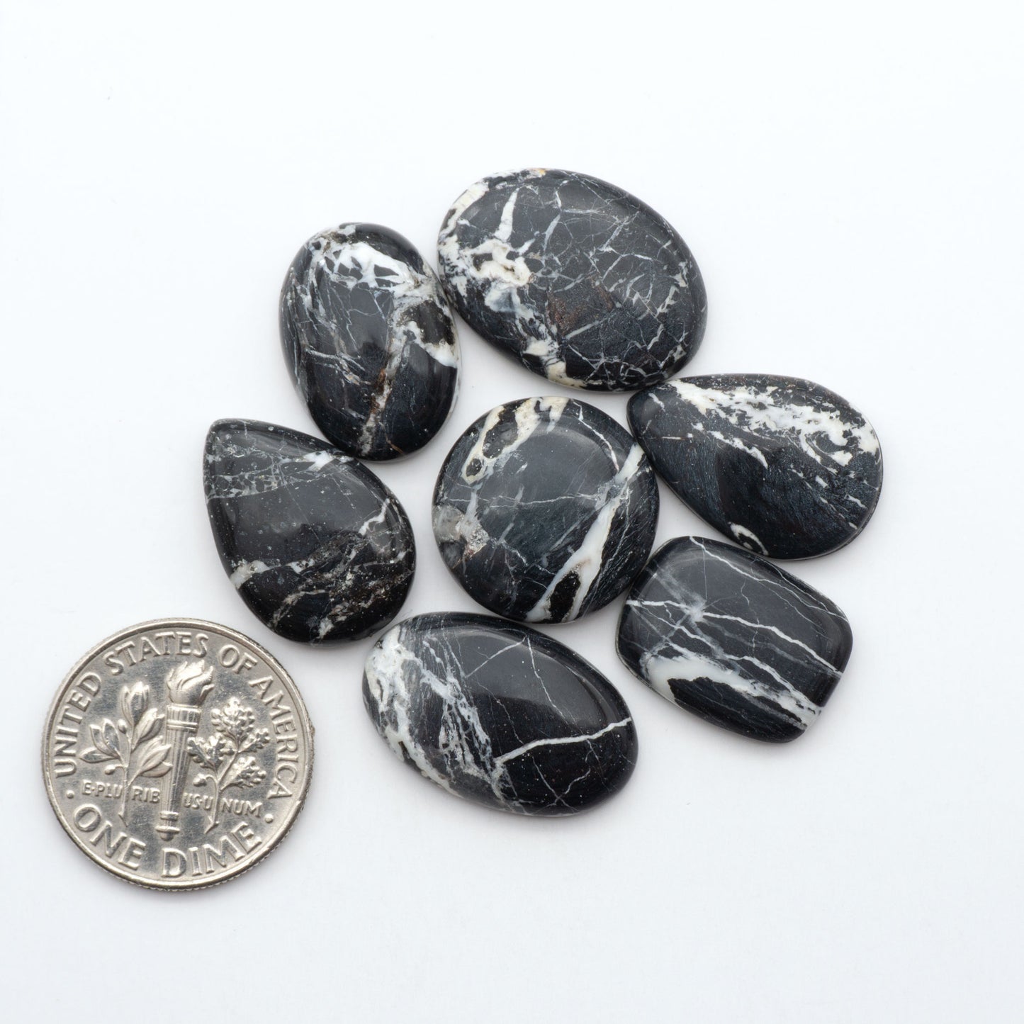 White Buffalo stone cabochons, white stone with black matrix, polished stones on a white background, with a US dime for scale