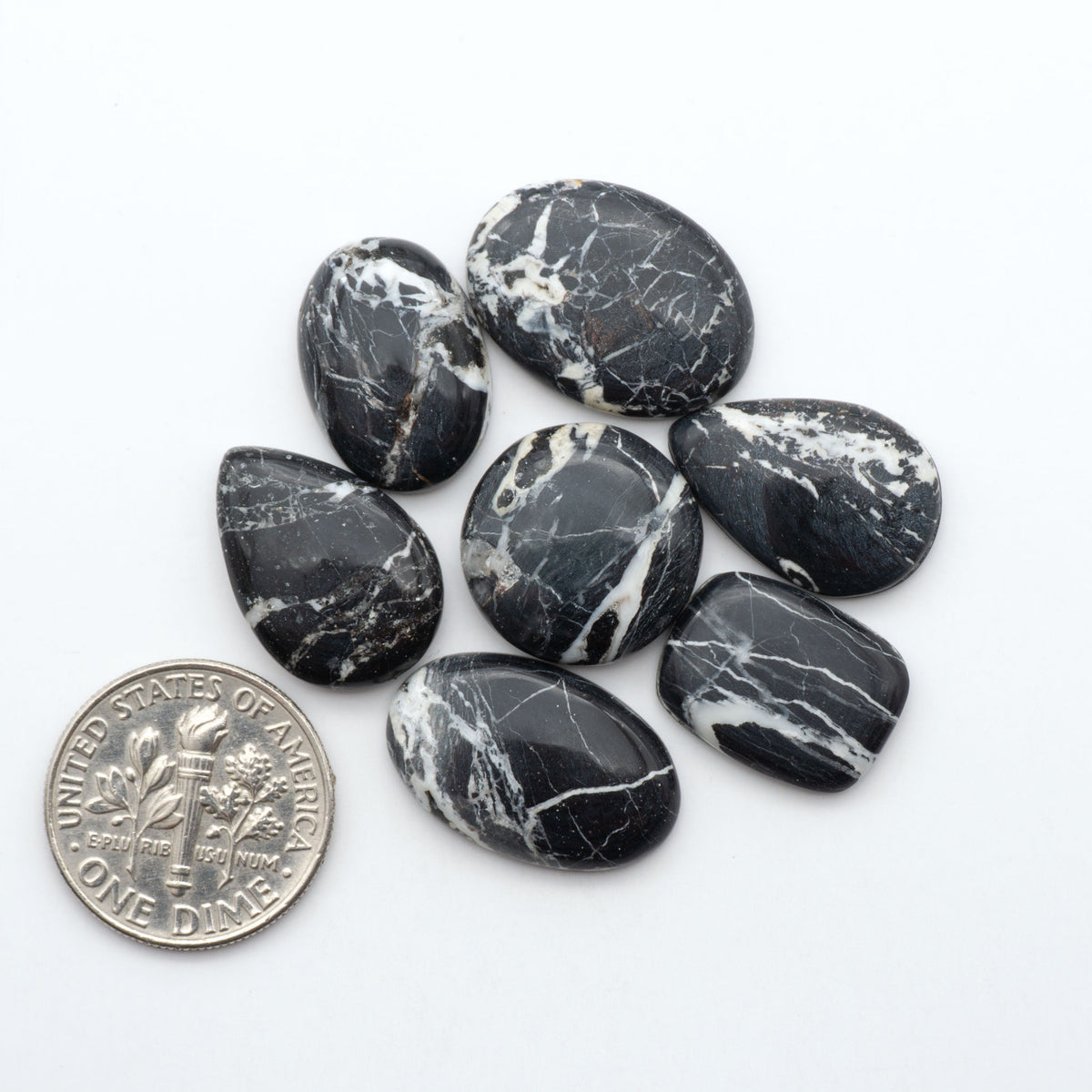 White Buffalo stone cabochons, white stone with black matrix, polished stones on a white background, with a US dime for scale