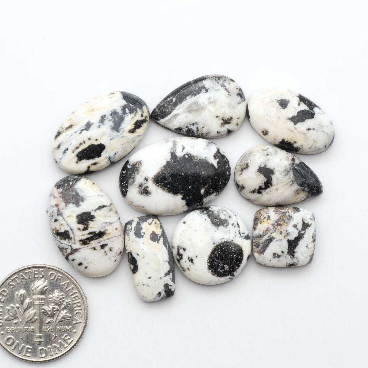 White Buffalo stone cabochons, white stone with black matrix, polished stones on a white background, with a US dime for scale