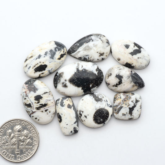 White Buffalo stone cabochons, white stone with black matrix, polished stones on a white background, with a US dime for scale