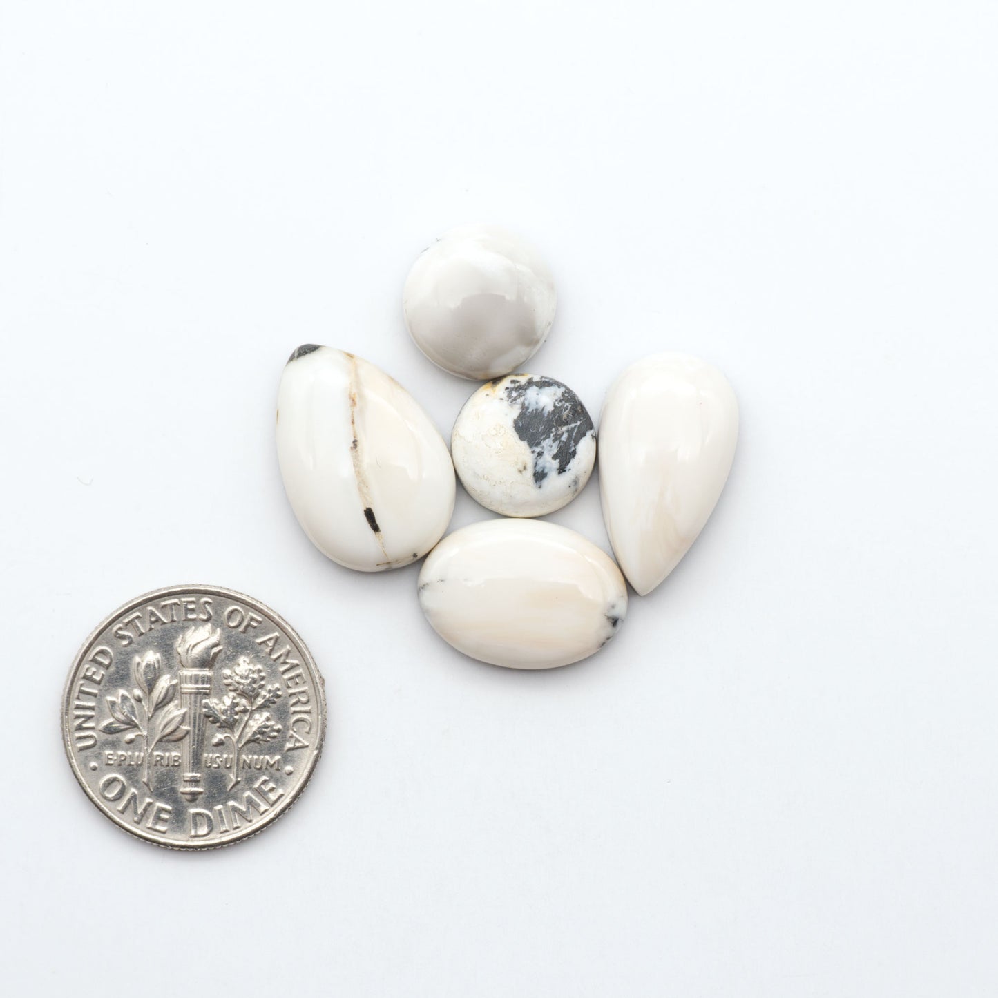 White Buffalo stone cabochons, white stone with black matrix, polished stones on a white background, with a US dime for scale