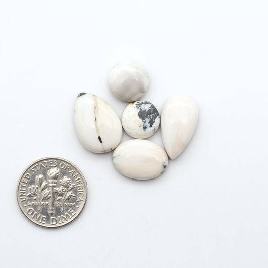 White Buffalo stone cabochons, white stone with black matrix, polished stones on a white background, with a US dime for scale