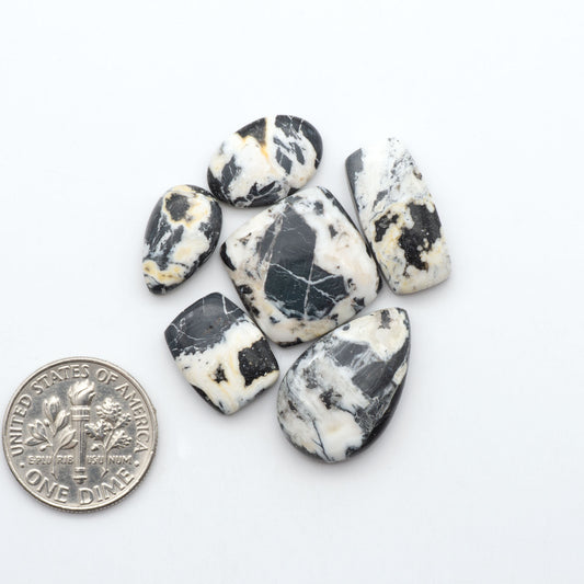 White Buffalo stone cabochons, white stone with black matrix, polished stones on a white background, with a US dime for scale