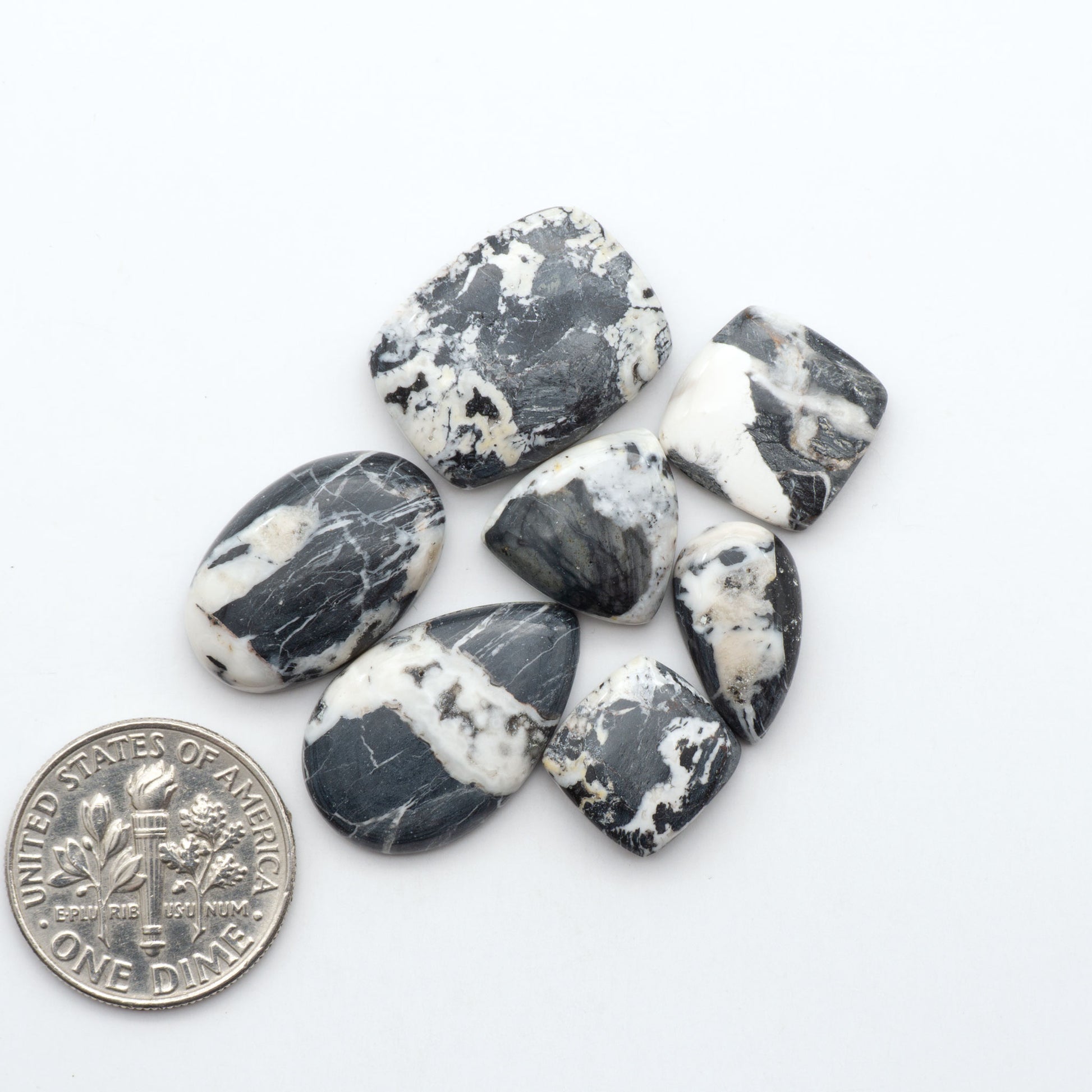 White Buffalo stone cabochons, white stone with black matrix, polished stones on a white background, with a US dime for scale
