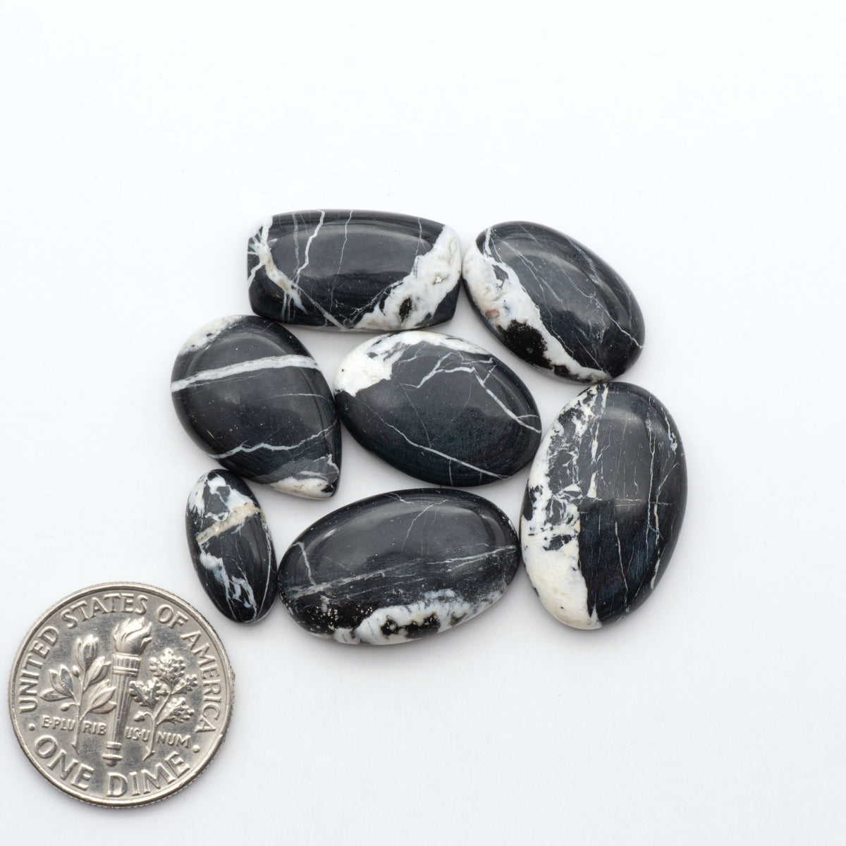 White Buffalo stone cabochons, white stone with black matrix, polished stones on a white background, with a US dime for scale
