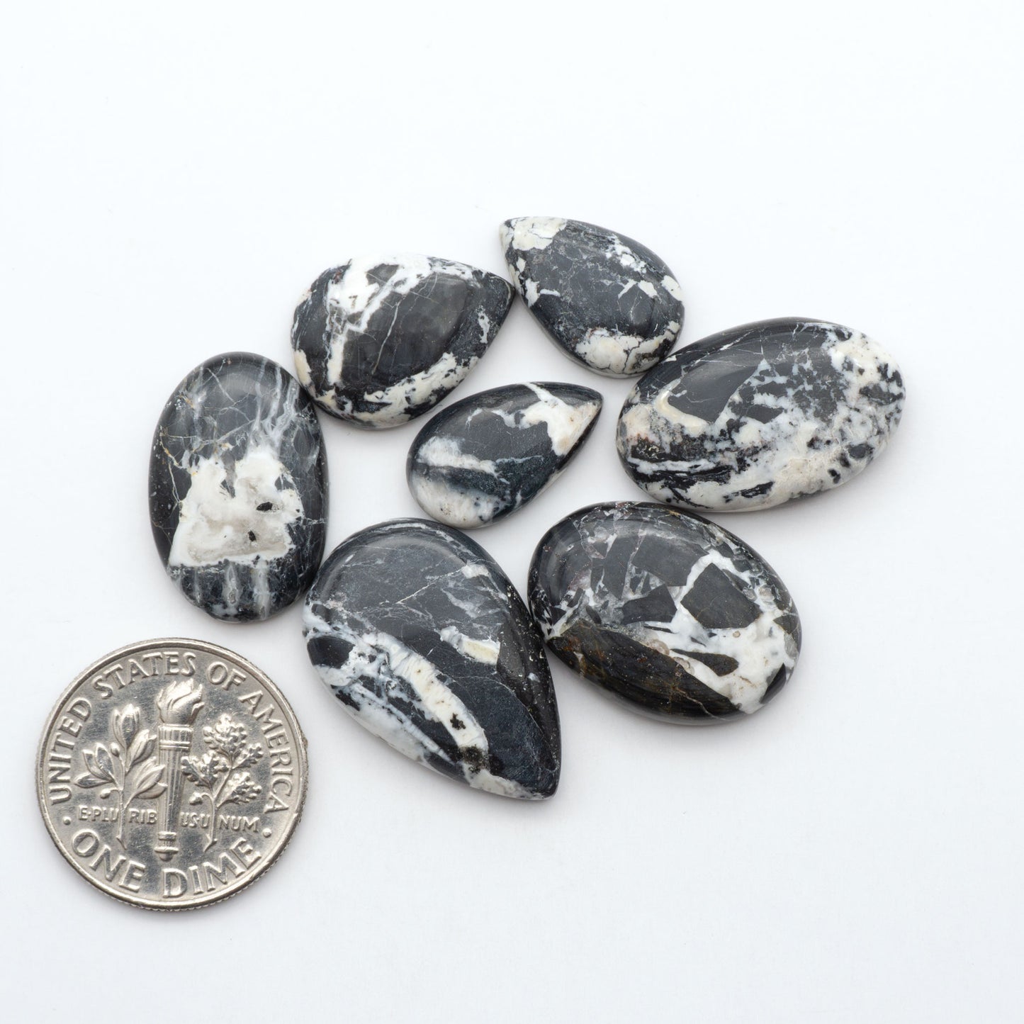 White Buffalo stone cabochons, white stone with black matrix, polished stones on a white background, with a US dime for scale