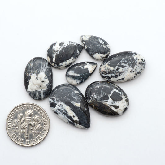 White Buffalo stone cabochons, white stone with black matrix, polished stones on a white background, with a US dime for scale