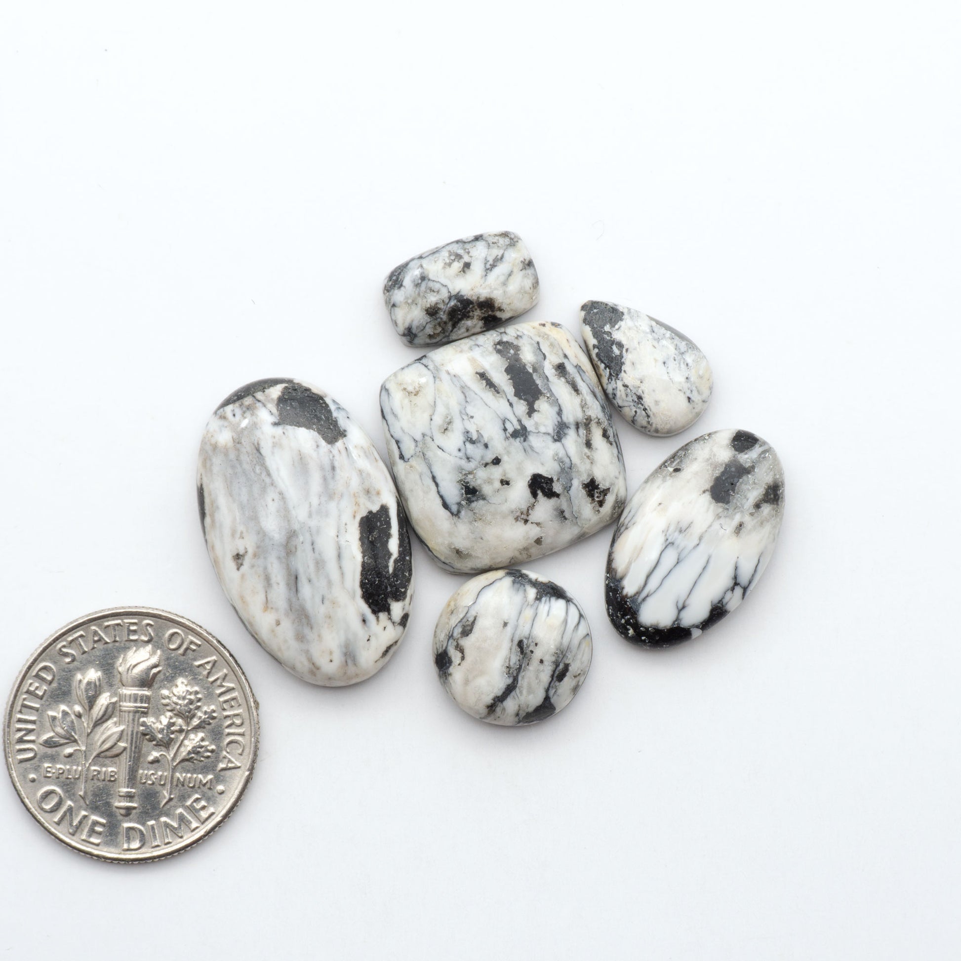 White Buffalo stone cabochons, white stone with black matrix, polished stones on a white background, with a US dime for scale
