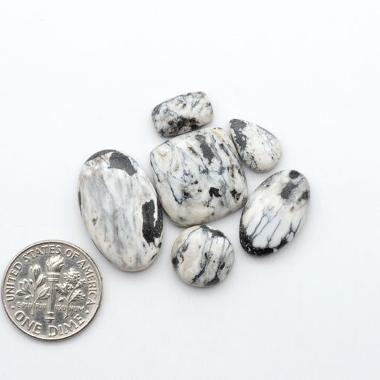 White Buffalo stone cabochons, white stone with black matrix, polished stones on a white background, with a US dime for scale