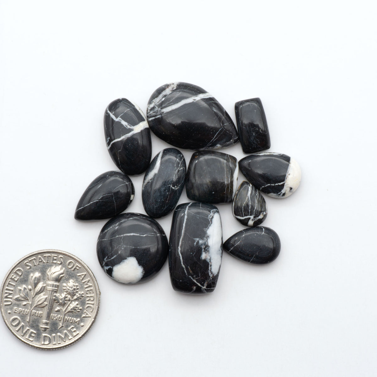White Buffalo stone cabochons, white stone with black matrix, polished stones on a white background, with a US dime for scale