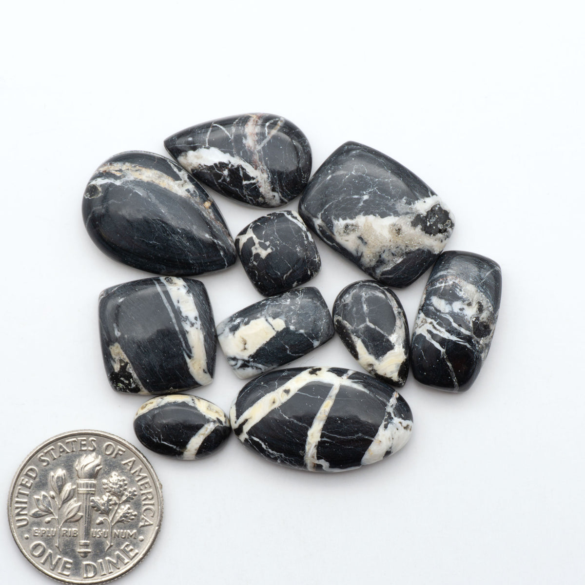 White Buffalo stone cabochons, white stone with black matrix, polished stones on a white background, with a US dime for scale