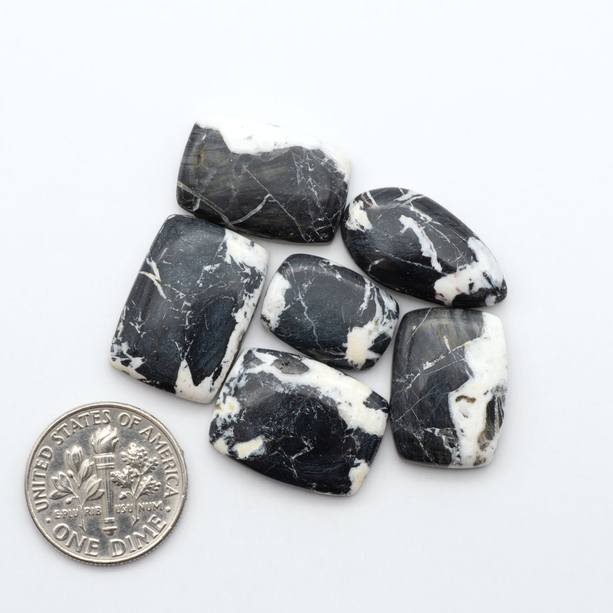 White Buffalo stone cabochons, white stone with black matrix, polished stones on a white background, with a US dime for scale