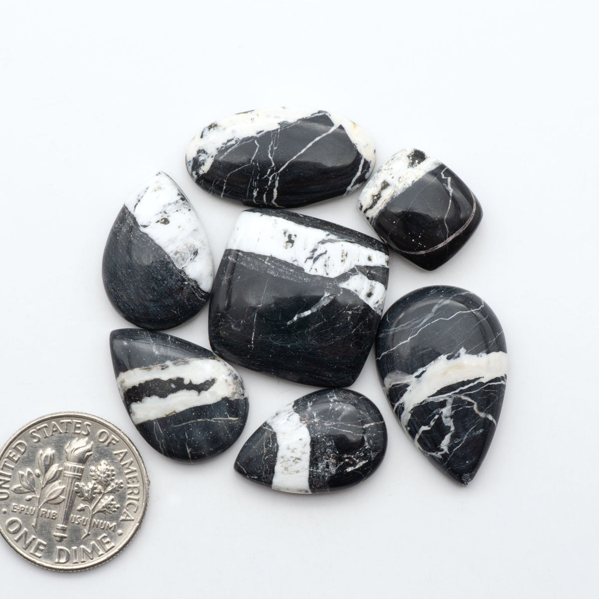 White Buffalo stone cabochons, white stone with black matrix, polished stones on a white background, with a US dime for scale
