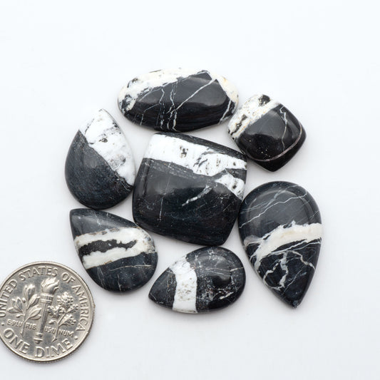 White Buffalo stone cabochons, white stone with black matrix, polished stones on a white background, with a US dime for scale
