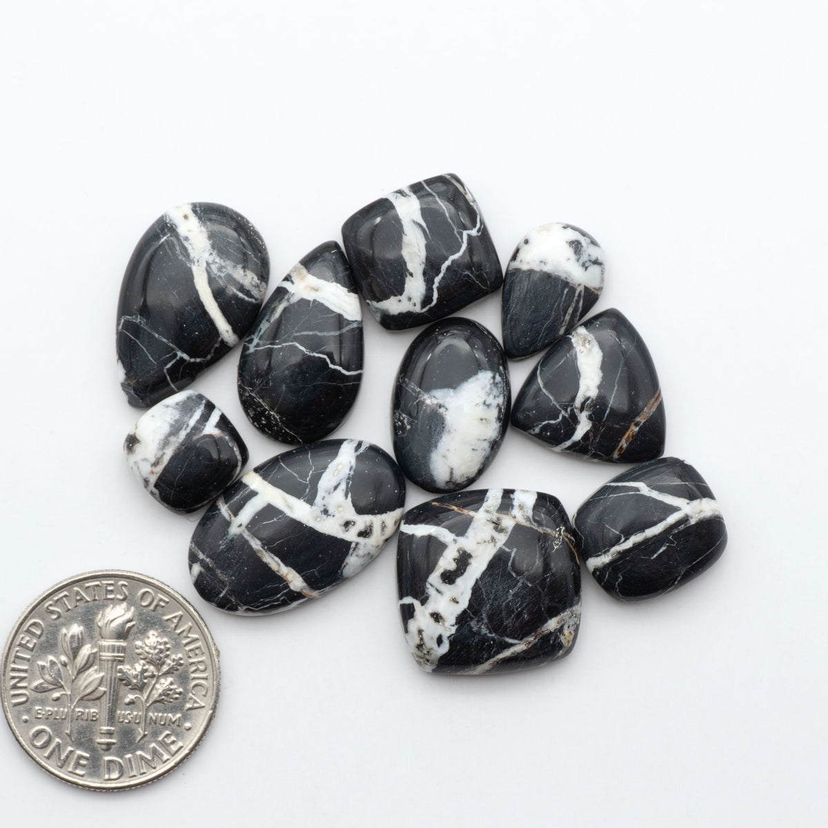 White Buffalo stone cabochons, white stone with black matrix, polished stones on a white background, with a US dime for scale
