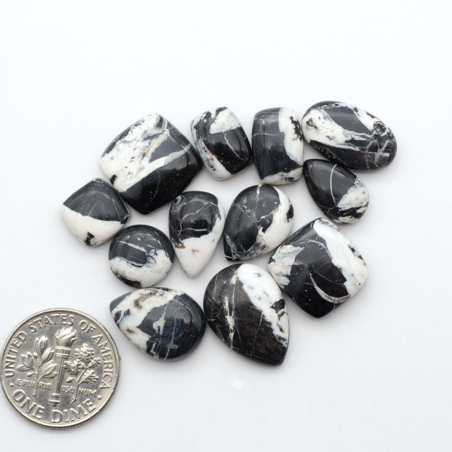 White Buffalo stone cabochons, white stone with black matrix, polished stones on a white background, with a US dime for scale