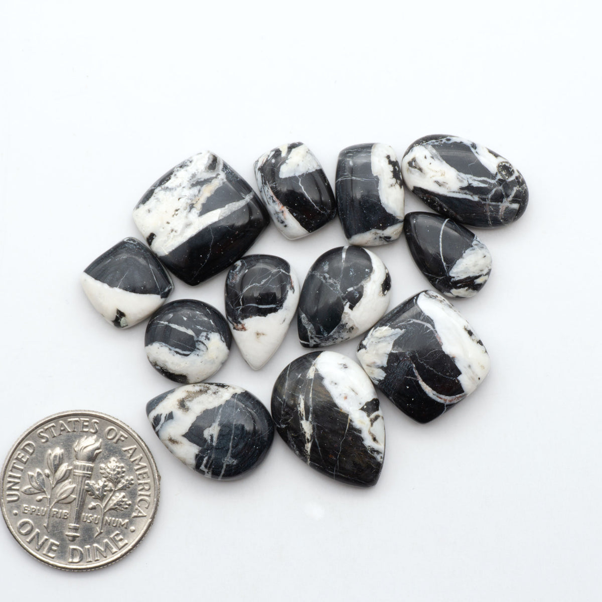 White Buffalo stone cabochons, white stone with black matrix, polished stones on a white background, with a US dime for scale