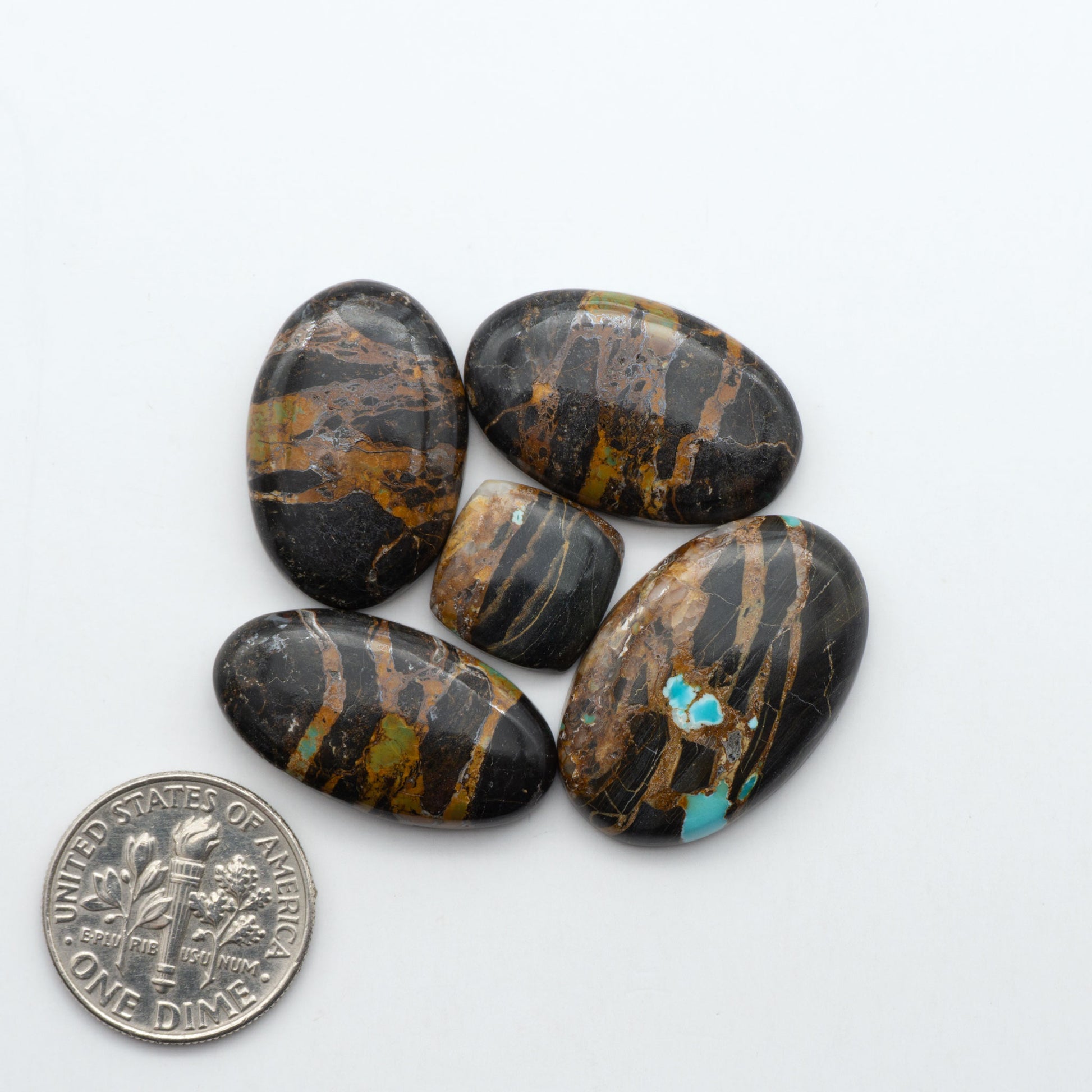 Black Jack turquoise cabochons, blue-green color with black matrix, polished stones on a white background with a US dime for scale