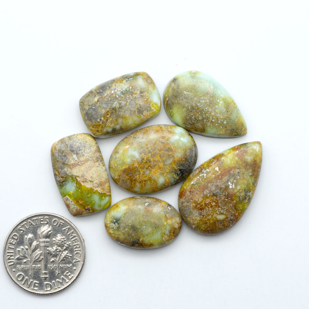 Palomino Variscite cabochons, polished yellow-green gemstones with natural matrix on a white background with a US dime for scale