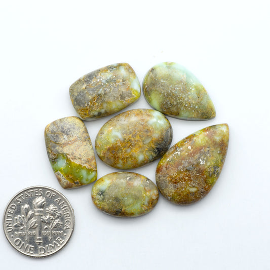 Palomino Variscite cabochons, polished yellow-green gemstones with natural matrix on a white background with a US dime for scale