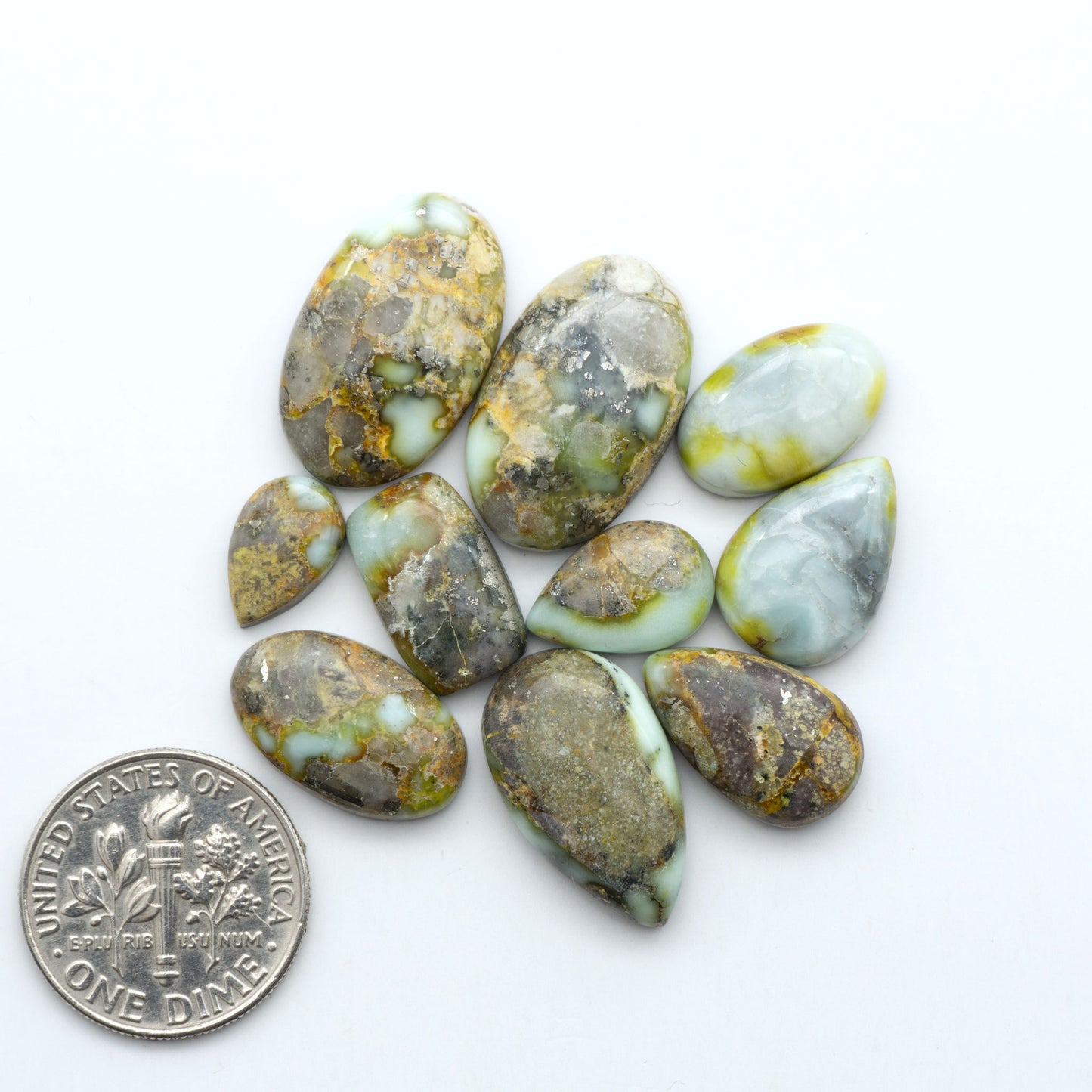 Palomino Variscite cabochons, polished yellow-green gemstones with natural matrix on a white background with a US dime for scale