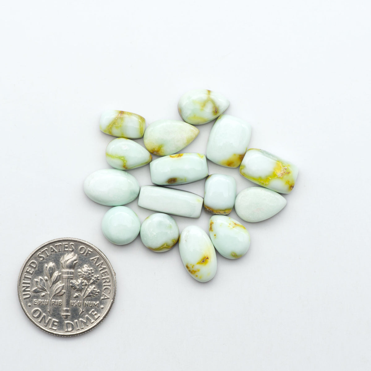 Palomino Variscite cabochons, polished yellow-green gemstones with natural matrix on a white background with a US dime for scale