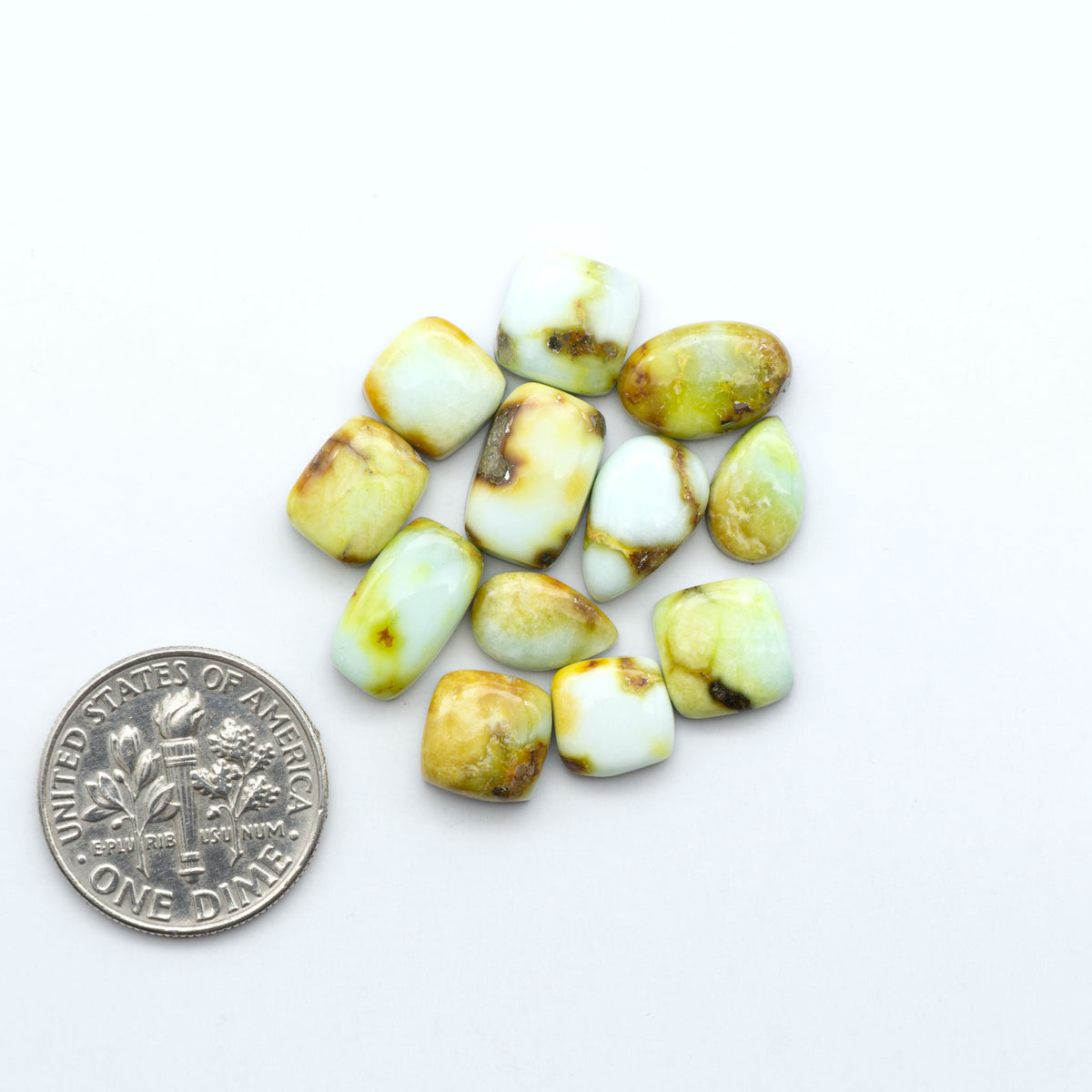 Palomino Variscite cabochons, polished yellow-green gemstones with natural matrix on a white background with a US dime for scale