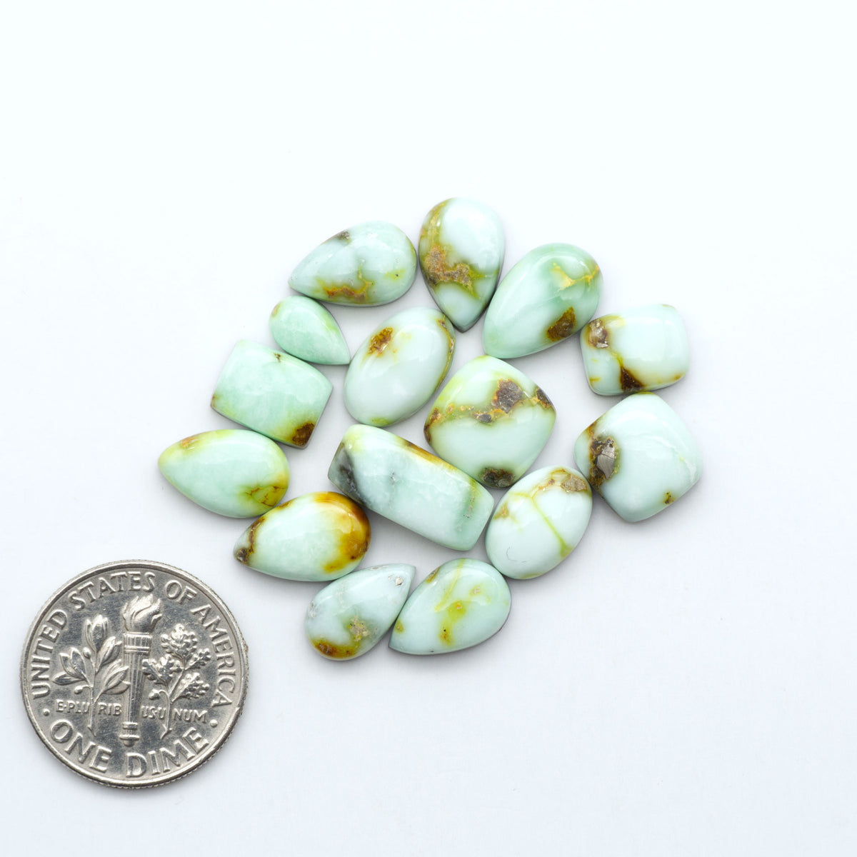 Palomino Variscite cabochons, polished yellow-green gemstones with natural matrix on a white background with a US dime for scale