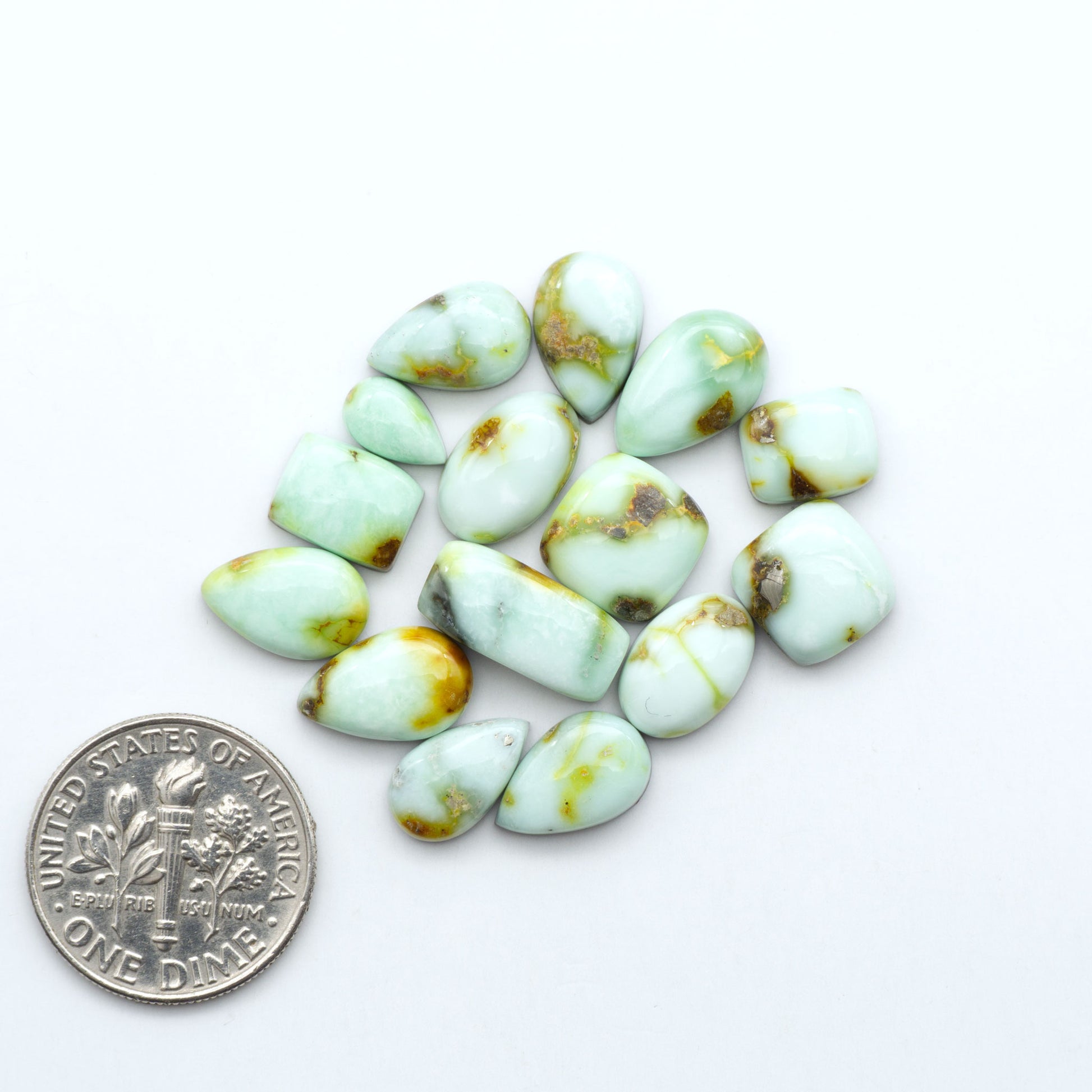 Palomino Variscite cabochons, polished yellow-green gemstones with natural matrix on a white background with a US dime for scale