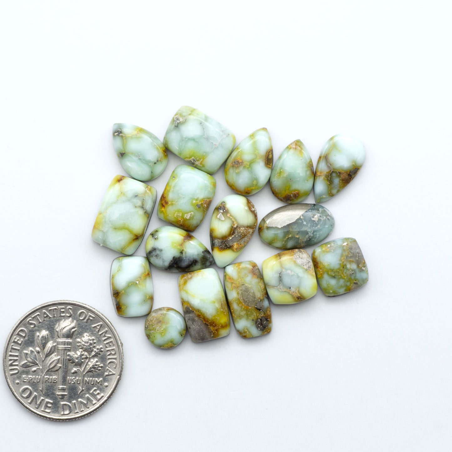 Palomino Variscite cabochons, polished yellow-green gemstones with natural matrix on a white background with a US dime for scale